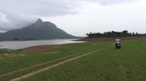 Kanjirapuzha Dam, Mannarkkad: Location, Timings, Best Time to Visit & Nearby Places