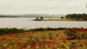 Kanva Dam, Ramanagara: Location, Timings, Best Time to Visit & Nearby Places