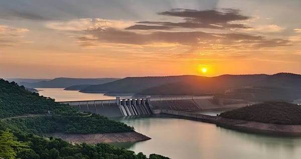 Pong Dam, Kangra